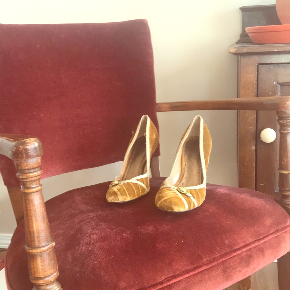BCBGirls gold velvet heels
